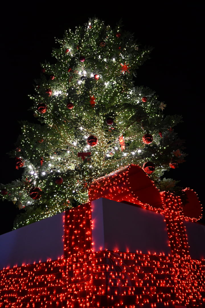 横浜赤レンガ倉庫のクリスマスツリー