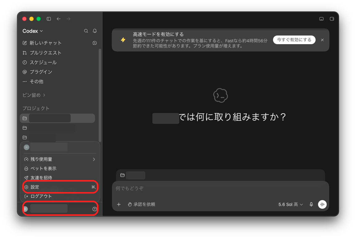 Codex の左下のアカウントメニュー。設定とアカウント欄を赤丸で示し、アカウント名をマスクしている。